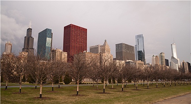 风暴,春天,场景,芝加哥,伊利诺斯,城市天际线