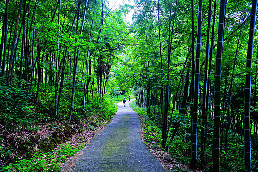 云台山采风2