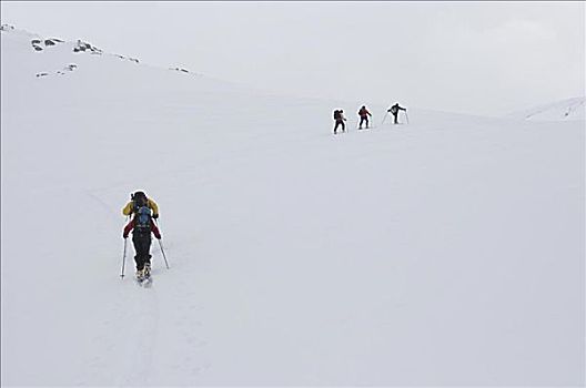 边远地区,滑雪者,山,不列颠哥伦比亚省,加拿大