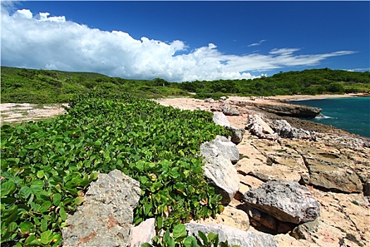 自然保护区,波多黎各