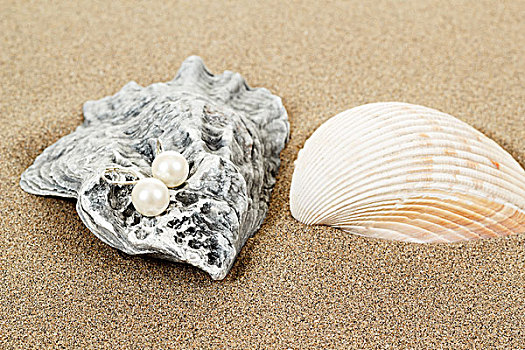 两个,珍珠耳环,壳,沙滩