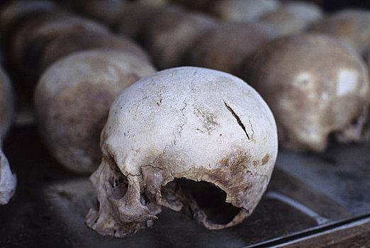 柬埔寨,靠近,金边,屠杀场,头骨,展示,纪念