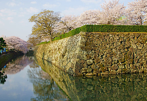 姬路城堡,春天,兵库,日本