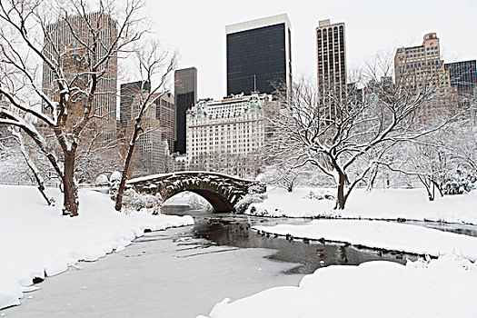 桥,雪,城市公园