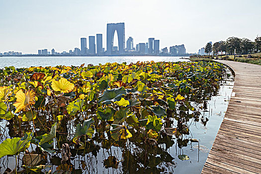 苏州金鸡湖