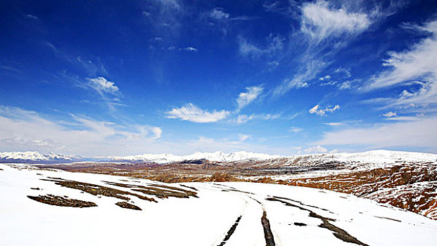 八一冰川祁连山脉雪山积雪