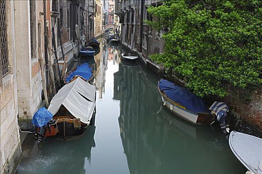 房子,运河,威尼斯,意大利