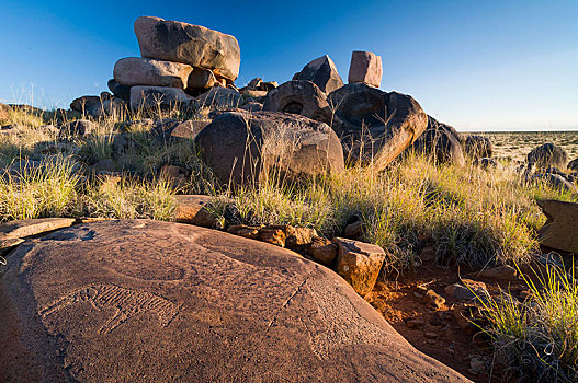 岩刻,石头,雕刻,原住民,靠近,北开普,南非,非洲