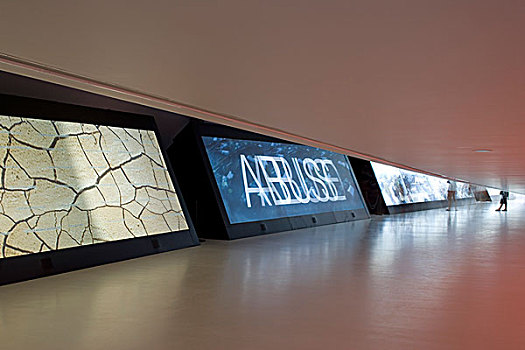 桥,亭子,萨拉戈萨,2008年,展示,独特,设计师,同伴,科学