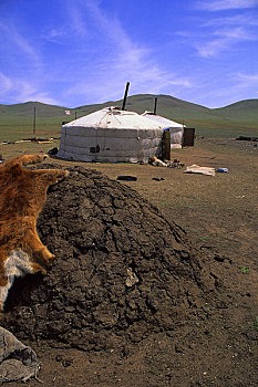蒙古,靠近,乌兰巴托,草地,蒙古包,露营,干燥,粪,烹调