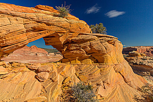 砂岩,拱形,弗米利恩崖,荒野,亚利桑那,美国