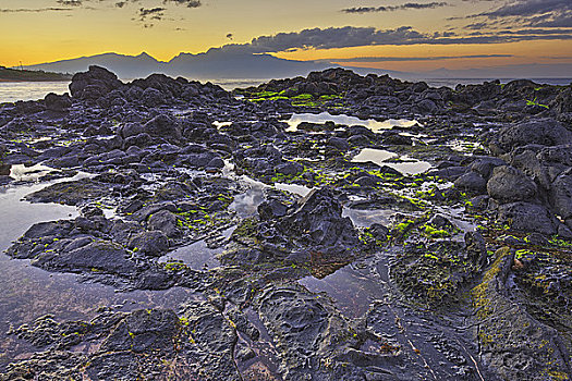 岩石构造,山峦,背景,北方,毛伊岛,夏威夷,美国