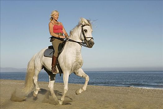 女人,骑,马,海滩