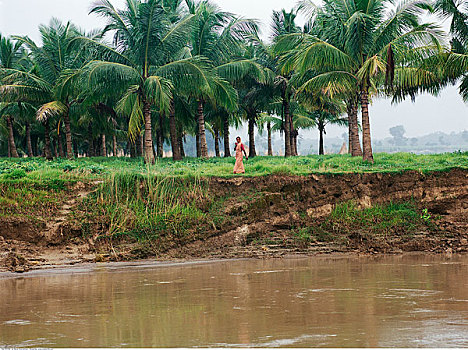 女人,走,旁侧,恒河,河,西孟加拉,印度