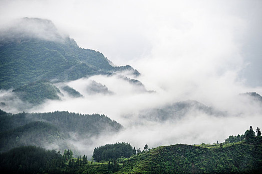 重庆酉阳,酷夏的雨后清晨