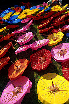 泰国,清迈,伞,乡村