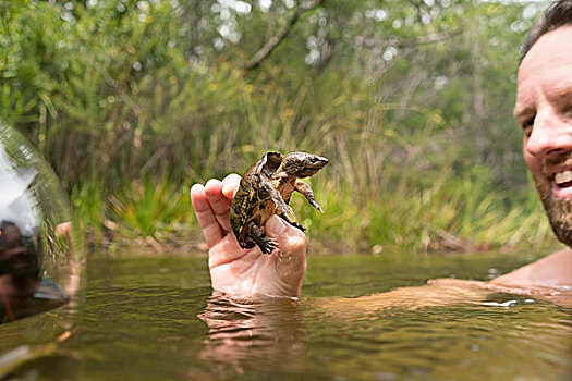男人,水中,拿着,泥,龟,微笑,土耳其,溪流,佛罗里达,美国