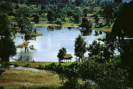 缅甸,湿地,风景