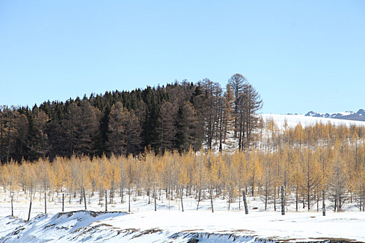 雪后天山美景