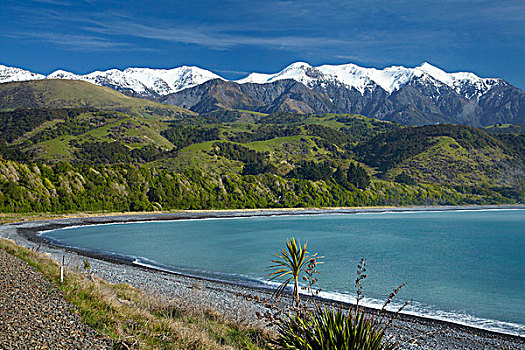 山脉,靠近,马尔伯勒,南岛,新西兰
