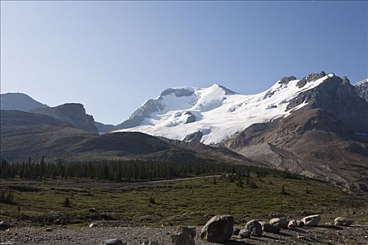 冰河,山峦,哥伦比亚,冰原,不列颠哥伦比亚省,加拿大