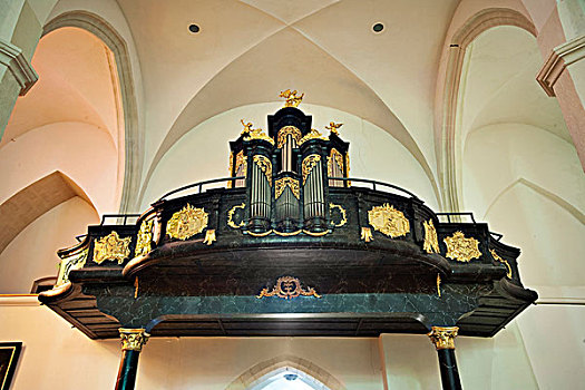 琴乐器,大教堂,布尔根兰,奥地利,欧洲