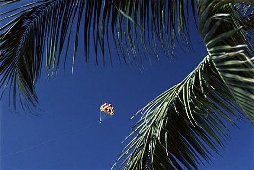 帆伞运动,波多黎各,墨西哥