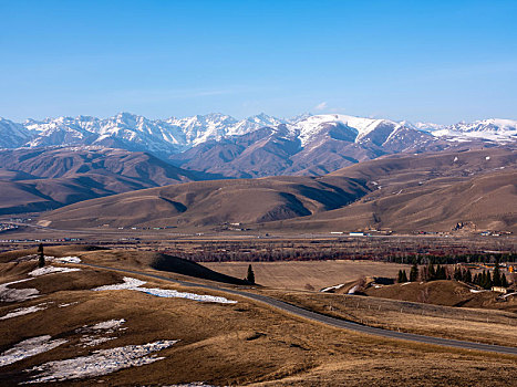 冬季新疆林区