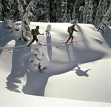 俯拍,两个男人,越野滑雪,俄勒冈,喀斯喀特山脉,美国