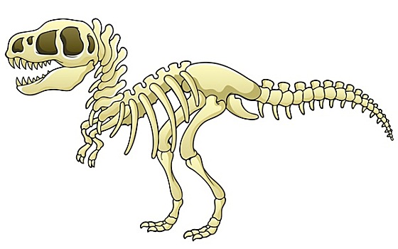 恐龙长什么样子 骨头图片