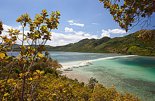纯,白沙,蛇,岛屿,螃蟹船,船,岸边,靠近,埃尔尼多,巴拉望岛,菲律宾