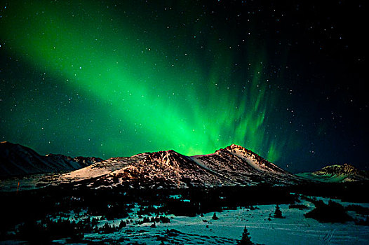 北极光,上方,狼獾,顶峰,楚加奇州立公园,靠近,电线,阿拉斯加,冬天