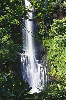 夏威夷,毛伊岛,威陆亚,瀑布,山谷,一个,大
