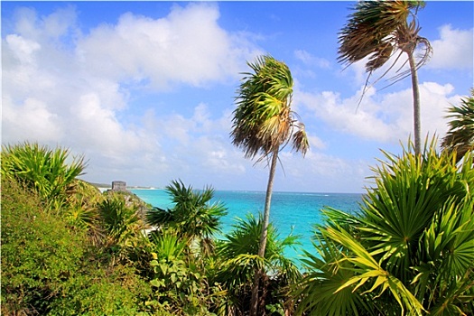 加勒比,海滩,墨西哥,青绿色,水