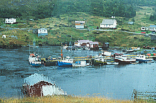 渔船,雨,遮盖,窗户,纽芬兰,加拿大