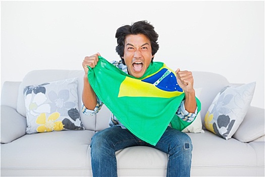 球迷,欢呼,拿着,巴西,旗帜