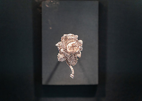成都博物馆风华万象珍宝展卡地亚典藏卡地亚伦敦铂金钻石玫瑰胸针