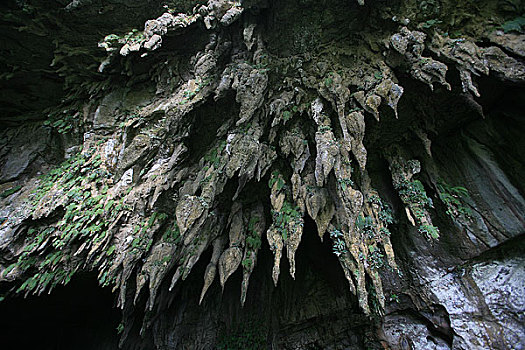 马来西亚穆鲁山国家公园马来西亚沙捞越州沙捞越洞穴,上面挂满的钟乳