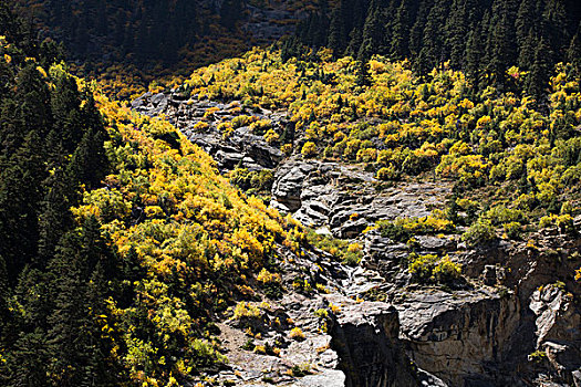 沿途风景