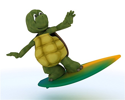 龟,冲浪板