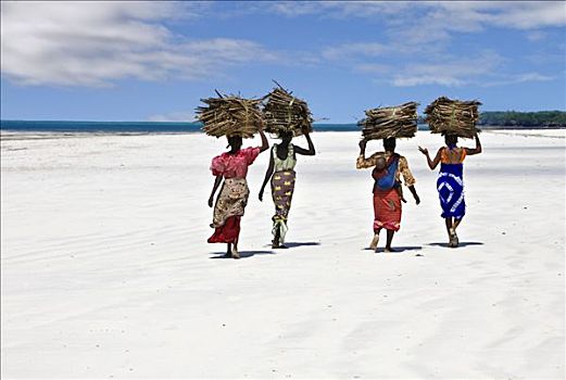 肯尼亚,蒙巴萨,女人,头部,干燥,椰树,叶状体,海滩