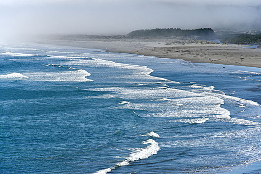 太平洋海岸,雾,靠近,奇洛埃,巴塔哥尼亚,智利,南美