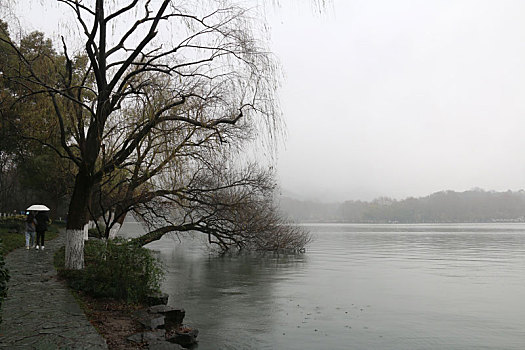 烟雨西湖