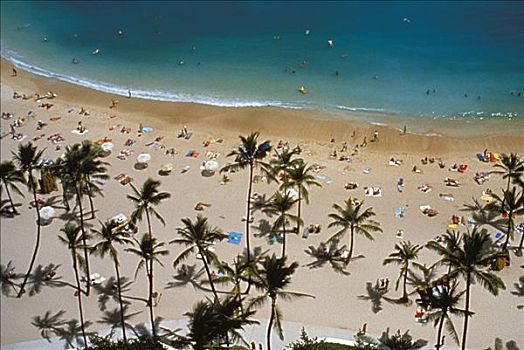夏威夷,瓦胡岛,怀基基海滩,棕榈树,人,日光浴,海岸线