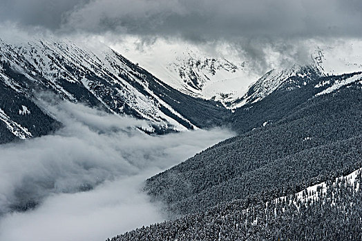 风景,积雪,山脉,惠斯勒,不列颠哥伦比亚省,加拿大
