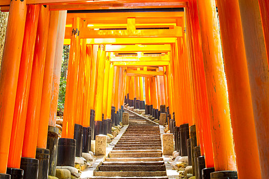 漂亮,橘色,庙宇,京都,日本