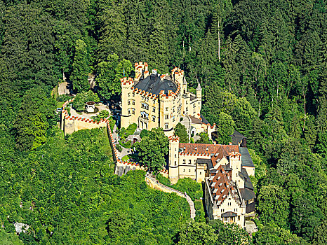 城堡,旧天鹅堡,航拍,巴伐利亚,德国
