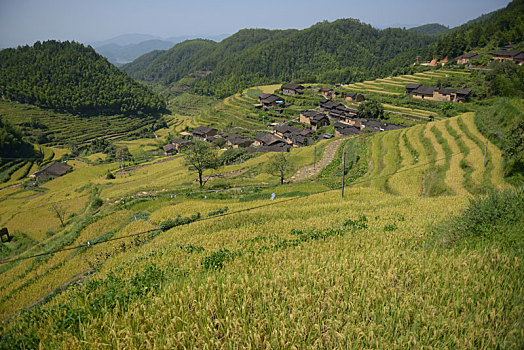 武夷山水