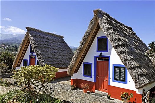 稻草,遮盖,房子,马德拉岛,葡萄牙