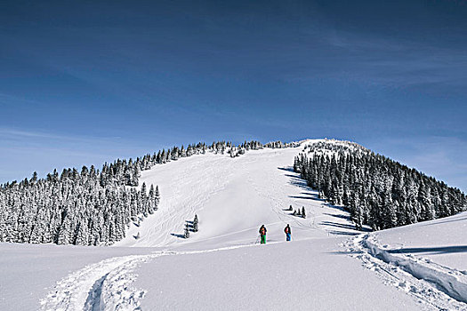 远景,两个,男性,滑雪,走,向上,积雪,山,德国